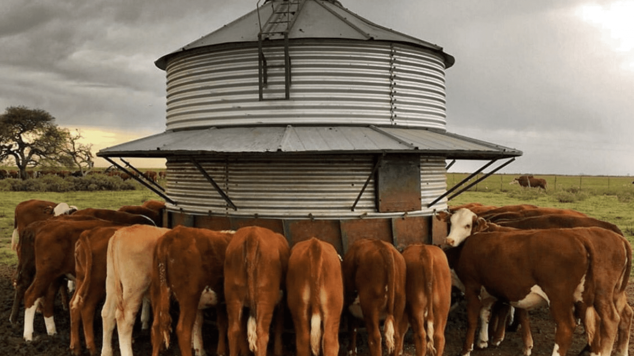 Reservas para el invierno